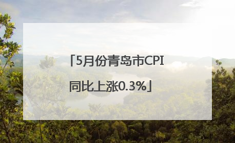 5月份青岛市CPI同比上涨0.3%